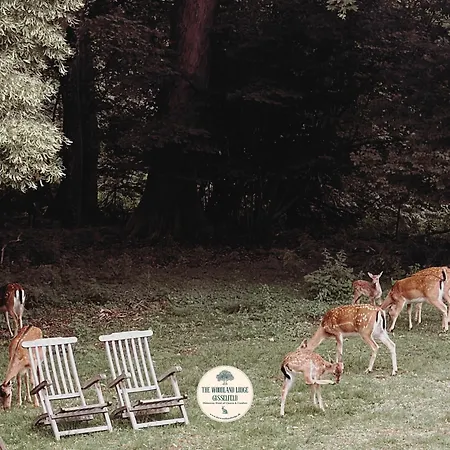 Lodge The Woodland Gisselfeld