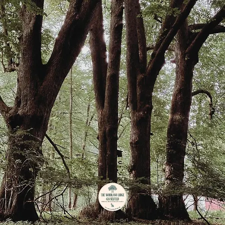 The Woodland Gisselfeld Lodge Haslev