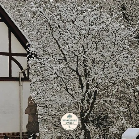 Lodge The Woodland Gisselfeld Haslev
