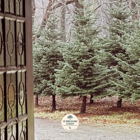 Lodge The Woodland Gisselfeld *