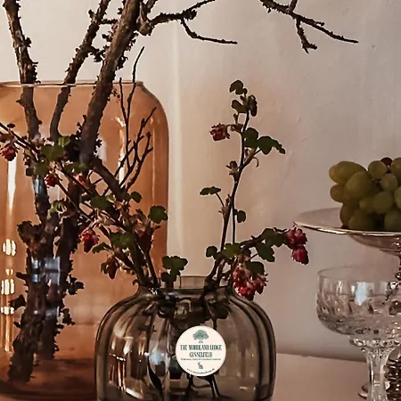 The Woodland Gisselfeld הסלב