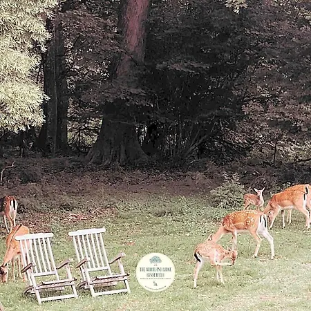 The Woodland Gisselfeld *