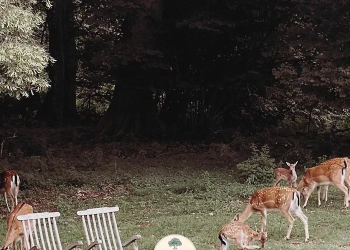 Lodge The Woodland Gisselfeld